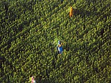Indie - Uttar Pradesh-Region de Mathura